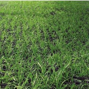 Rubber Landscape Matting