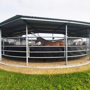 Horse Walker Rubber Matting
